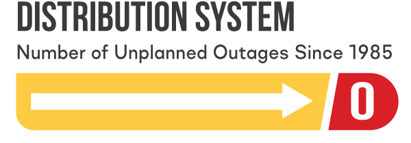 Distribution System: Number of Unplanned Outages Since 1985: 0